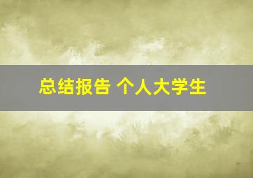 总结报告 个人大学生